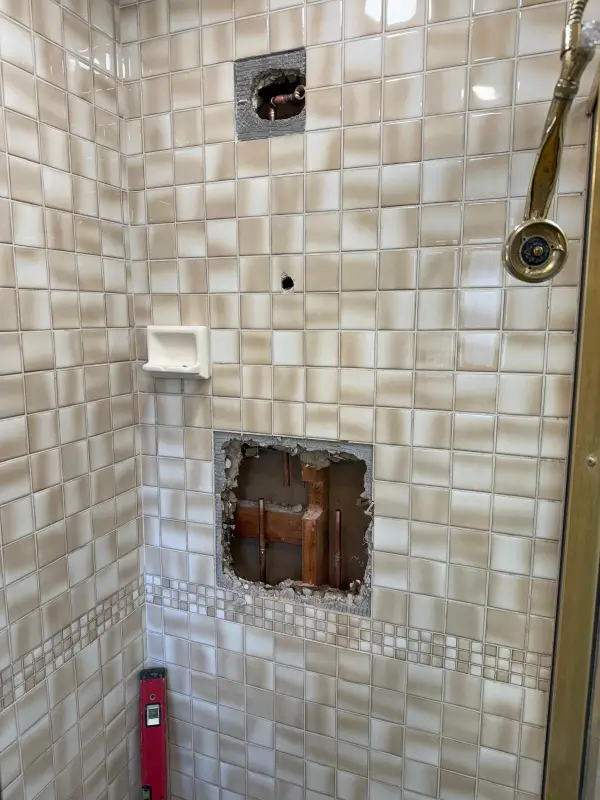 Professional Plumbing Services Professional Plumbing Services
